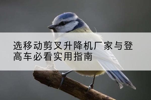 隆昌电动升降机厂家-选移动剪叉升降机厂家与登高车必看实用指南