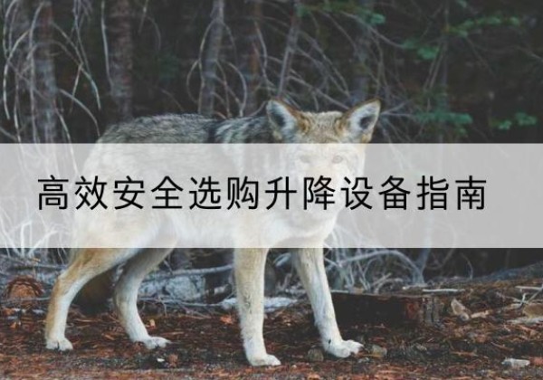 隆昌升降货梯厂家推荐-*安全选购升降设备指南