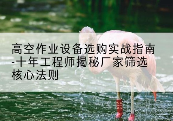 隆昌剪叉式升降机厂家-高空作业设备选购实战指南-十年工程师揭秘厂家筛选核心法则